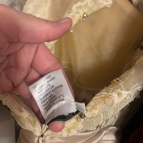 Champagne Lace Beaded Gown - Picture 5 of 7